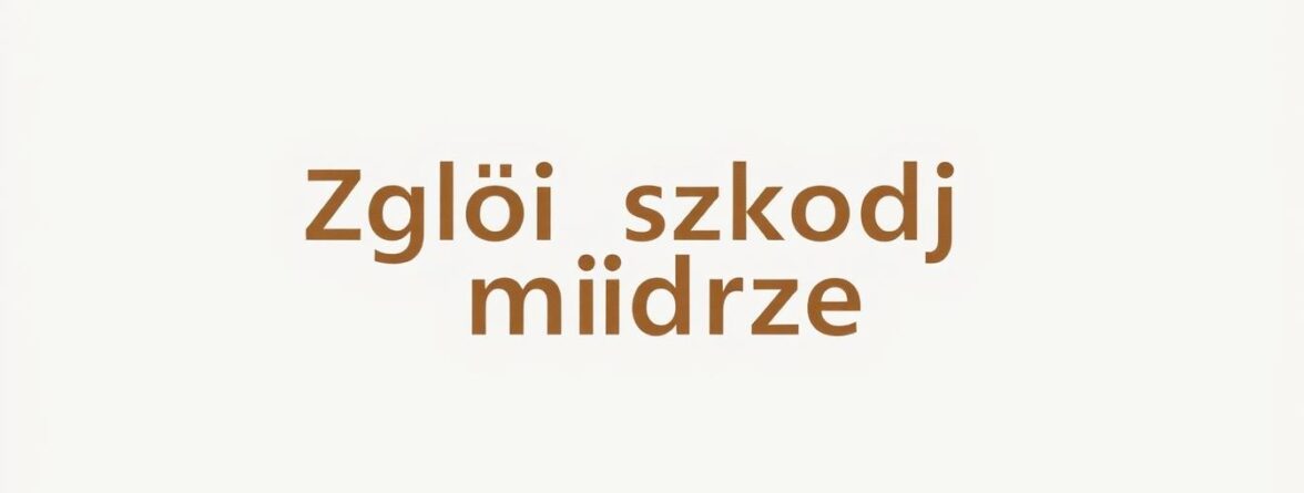 Zgłoś szkodę mądrze – wybierz MOTOEXPERT.