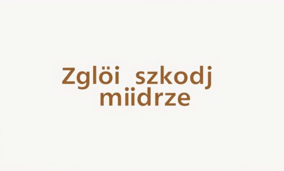 Zgłoś szkodę mądrze – wybierz MOTOEXPERT.